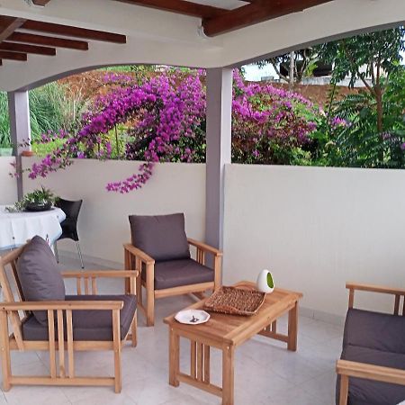 Paradis Cache - Confort Terrasse - Kybo Karaib Location - Pkg - Mtgne Sainte-Marie Dış mekan fotoğraf