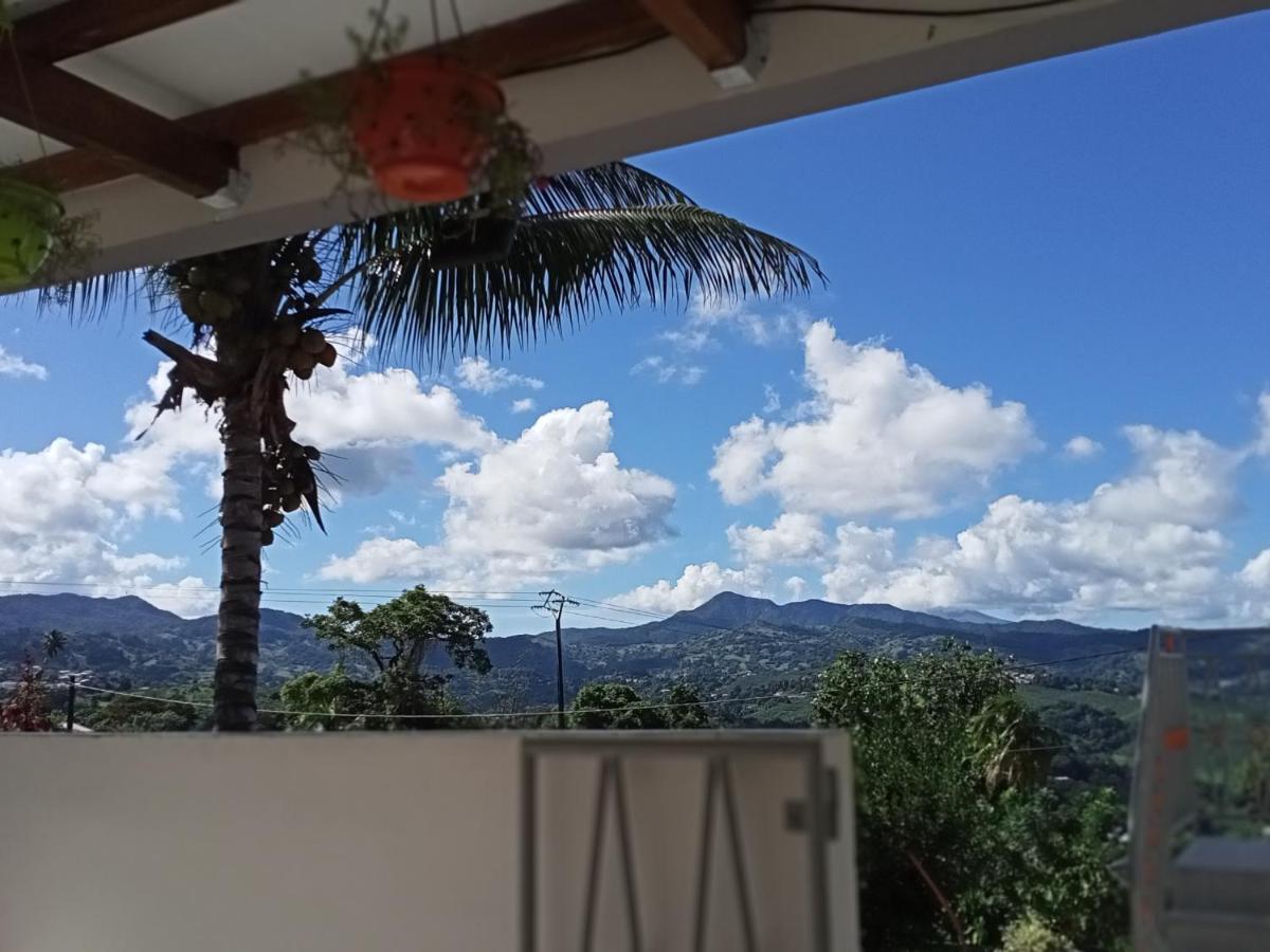 Paradis Cache - Confort Terrasse - Kybo Karaib Location - Pkg - Mtgne Sainte-Marie Dış mekan fotoğraf