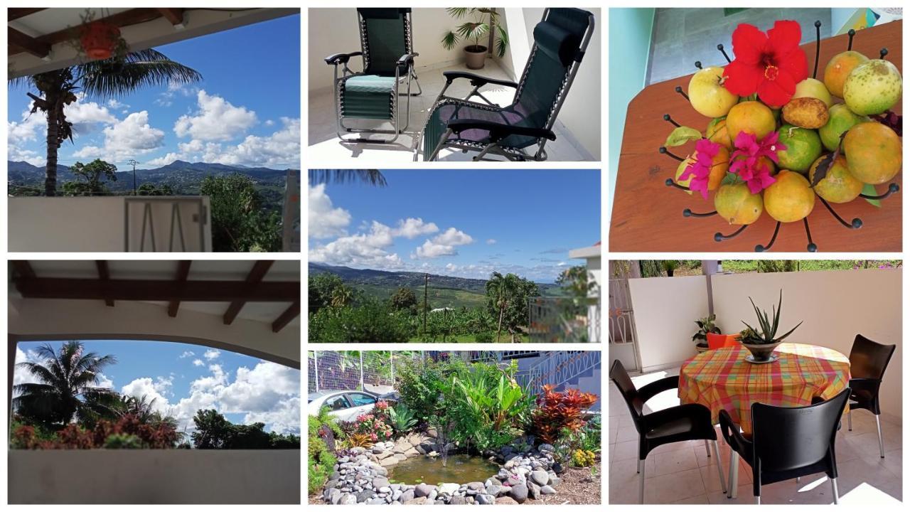Paradis Cache - Confort Terrasse - Kybo Karaib Location - Pkg - Mtgne Sainte-Marie Dış mekan fotoğraf